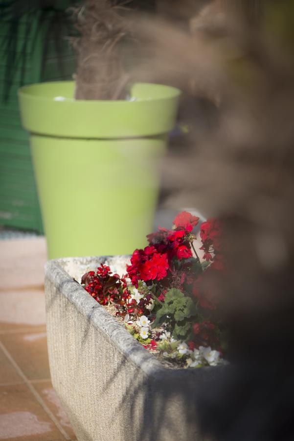 Le Relais De St Martin Bed and Breakfast Rilly-la-Montagne Buitenkant foto